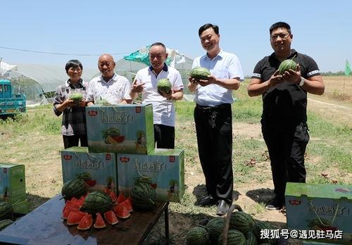 广州市吃瓜影视娱乐公司,打造潮流娱乐新地标  第2张