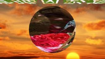 3d金梅在线观看  第2张